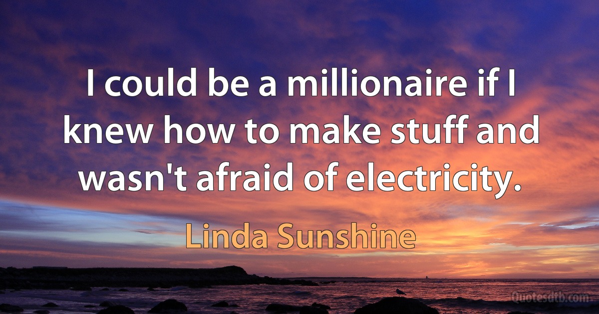 I could be a millionaire if I knew how to make stuff and wasn't afraid of electricity. (Linda Sunshine)