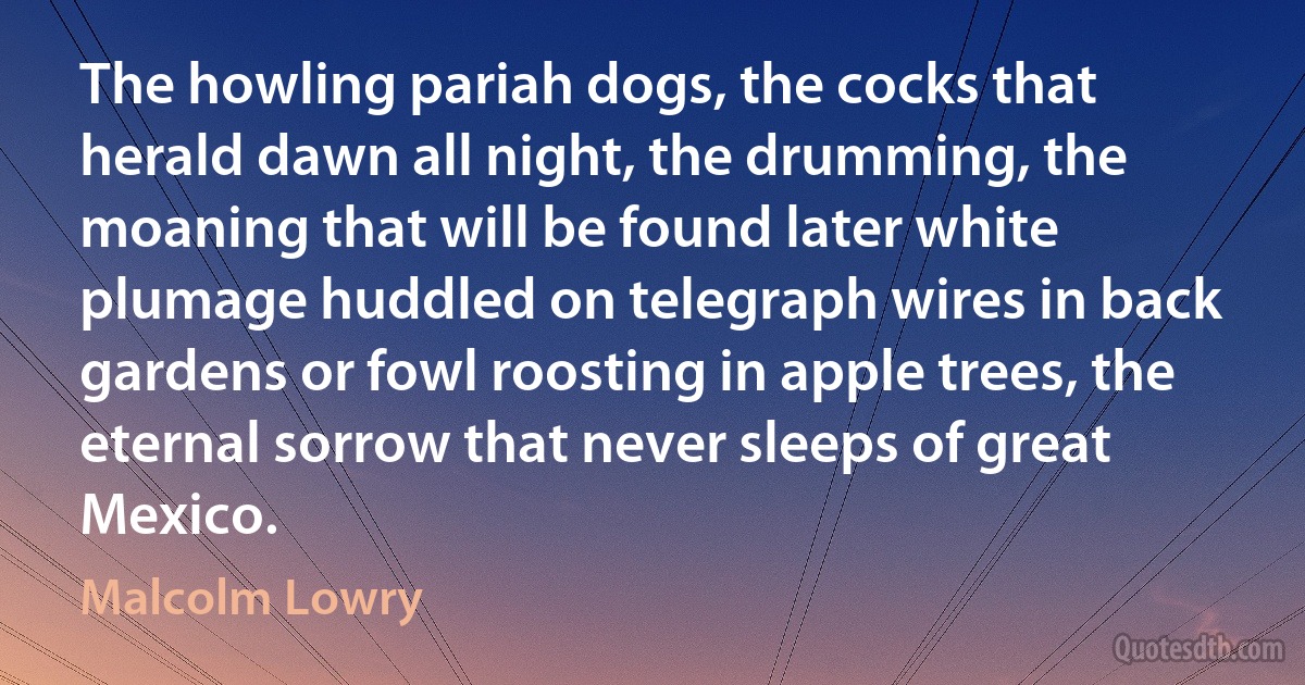 The howling pariah dogs, the cocks that herald dawn all night, the drumming, the moaning that will be found later white plumage huddled on telegraph wires in back gardens or fowl roosting in apple trees, the eternal sorrow that never sleeps of great Mexico. (Malcolm Lowry)