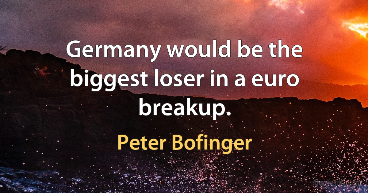 Germany would be the biggest loser in a euro breakup. (Peter Bofinger)