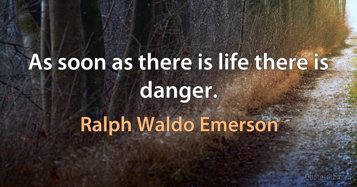 As soon as there is life there is danger. (Ralph Waldo Emerson)