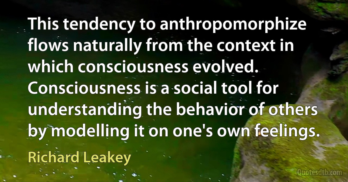 This tendency to anthropomorphize flows naturally from the context in which consciousness evolved. Consciousness is a social tool for understanding the behavior of others by modelling it on one's own feelings. (Richard Leakey)