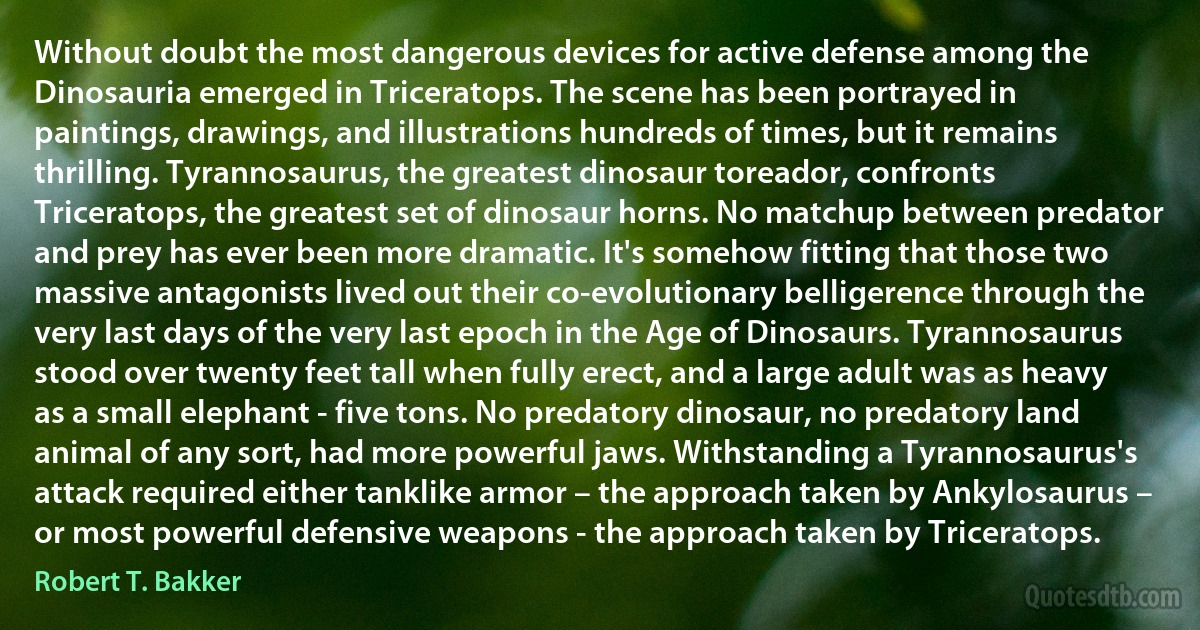 Without doubt the most dangerous devices for active defense among the Dinosauria emerged in Triceratops. The scene has been portrayed in paintings, drawings, and illustrations hundreds of times, but it remains thrilling. Tyrannosaurus, the greatest dinosaur toreador, confronts Triceratops, the greatest set of dinosaur horns. No matchup between predator and prey has ever been more dramatic. It's somehow fitting that those two massive antagonists lived out their co-evolutionary belligerence through the very last days of the very last epoch in the Age of Dinosaurs. Tyrannosaurus stood over twenty feet tall when fully erect, and a large adult was as heavy as a small elephant - five tons. No predatory dinosaur, no predatory land animal of any sort, had more powerful jaws. Withstanding a Tyrannosaurus's attack required either tanklike armor – the approach taken by Ankylosaurus – or most powerful defensive weapons - the approach taken by Triceratops. (Robert T. Bakker)