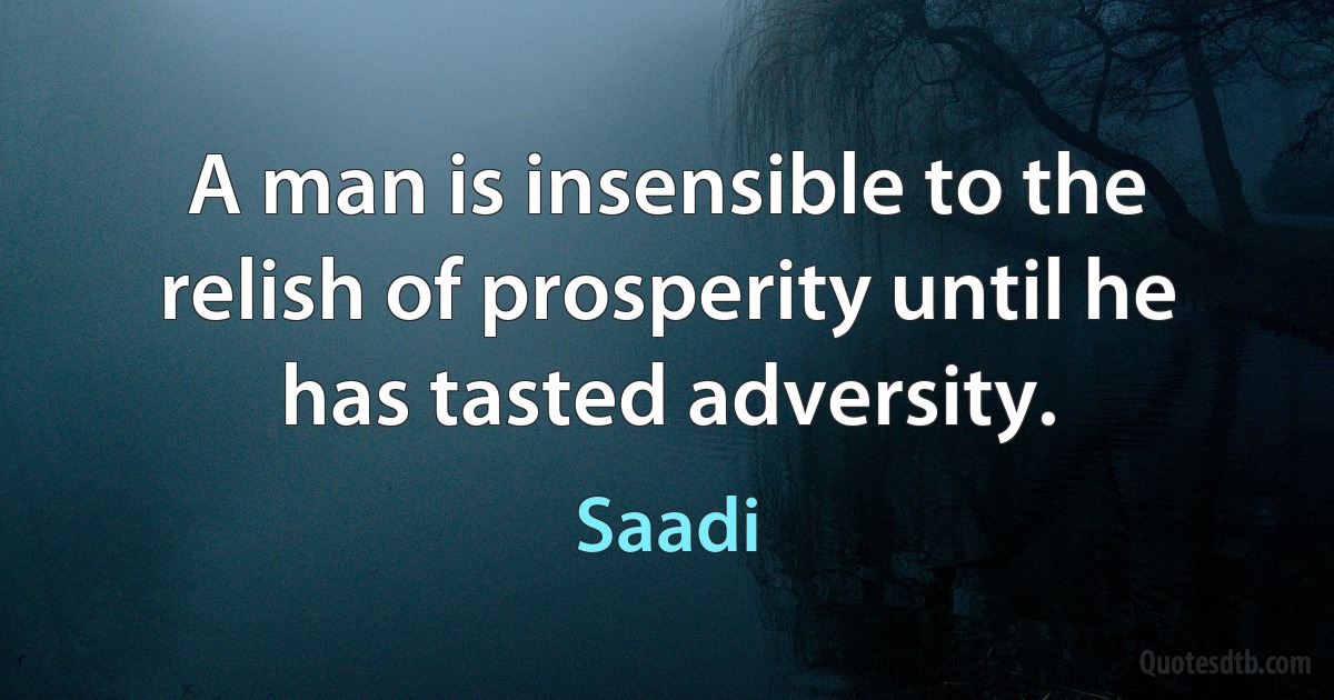 A man is insensible to the relish of prosperity until he has tasted adversity. (Saadi)