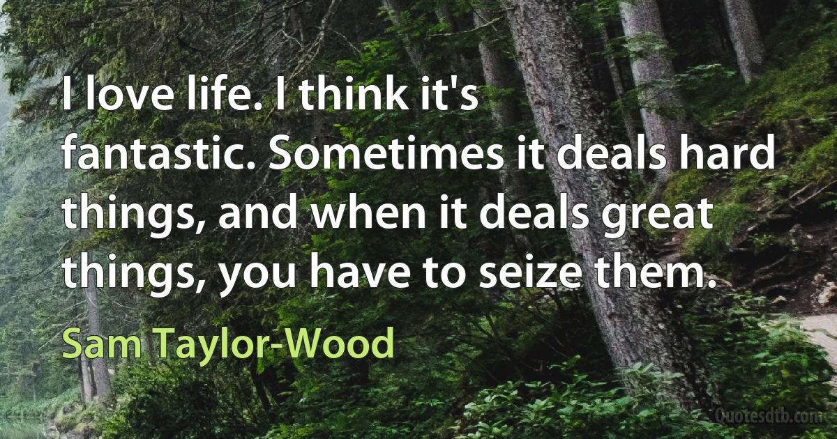 I love life. I think it's fantastic. Sometimes it deals hard things, and when it deals great things, you have to seize them. (Sam Taylor-Wood)