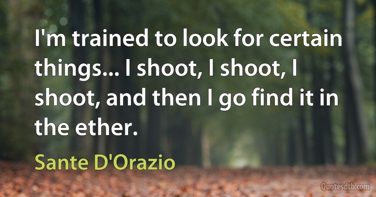 I'm trained to look for certain things... I shoot, I shoot, I shoot, and then I go find it in the ether. (Sante D'Orazio)