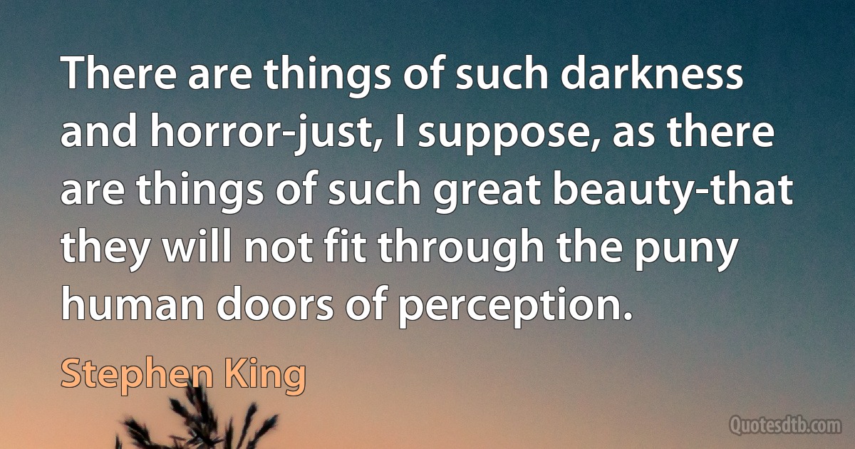 There are things of such darkness and horror-just, I suppose, as there are things of such great beauty-that they will not fit through the puny human doors of perception. (Stephen King)