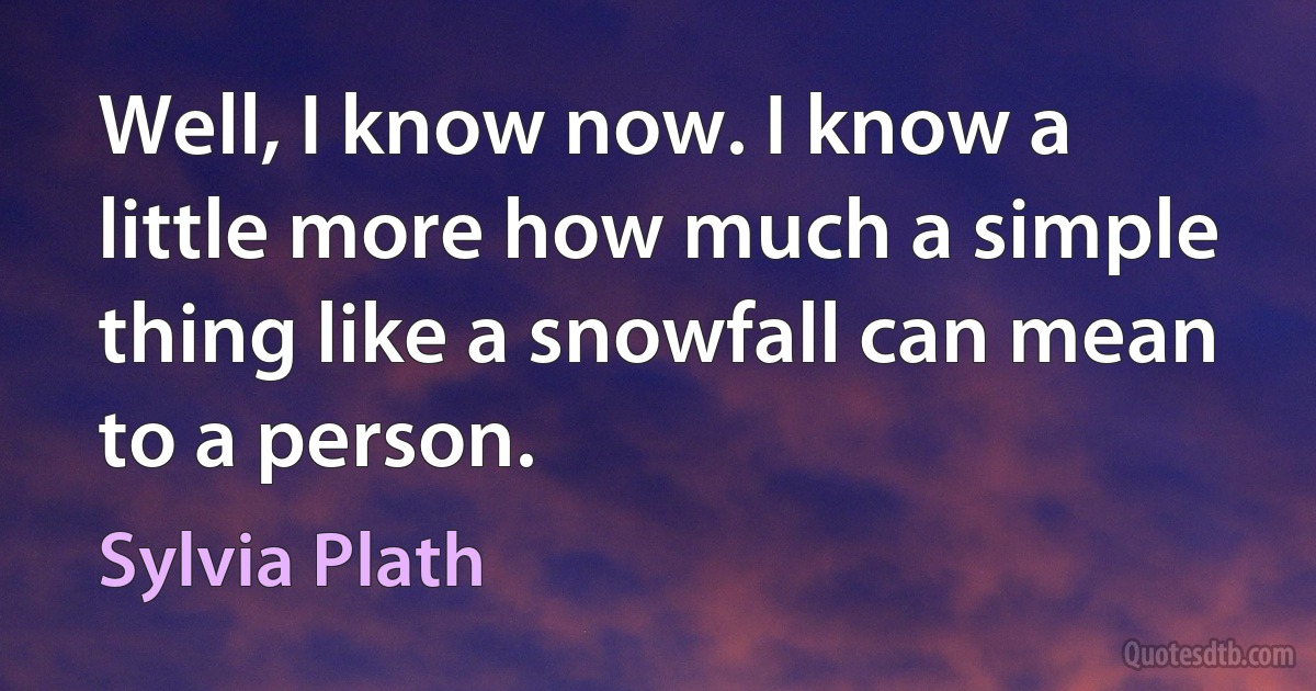 Well, I know now. I know a little more how much a simple thing like a snowfall can mean to a person. (Sylvia Plath)