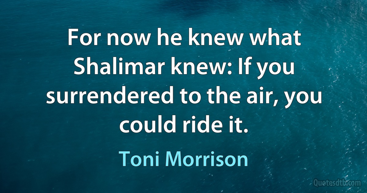 For now he knew what Shalimar knew: If you surrendered to the air, you could ride it. (Toni Morrison)