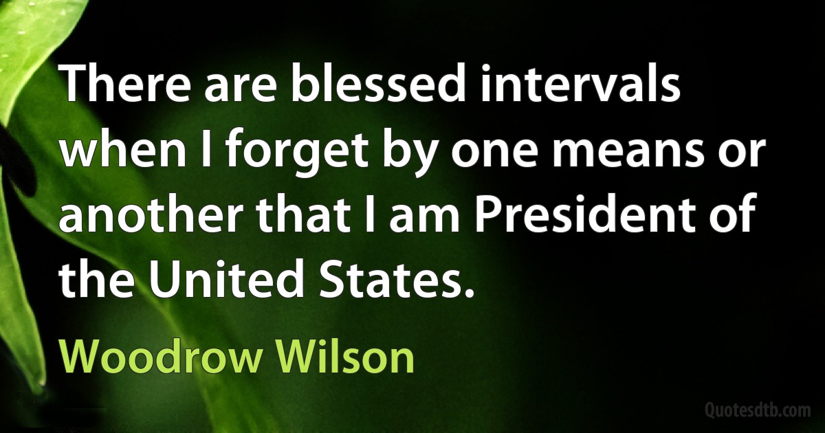 There are blessed intervals when I forget by one means or another that I am President of the United States. (Woodrow Wilson)