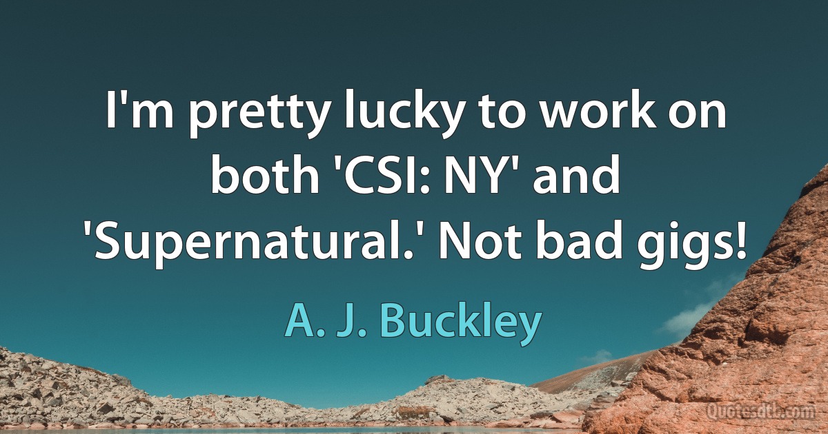 I'm pretty lucky to work on both 'CSI: NY' and 'Supernatural.' Not bad gigs! (A. J. Buckley)