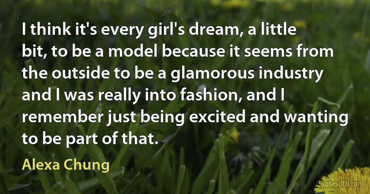 I think it's every girl's dream, a little bit, to be a model because it seems from the outside to be a glamorous industry and I was really into fashion, and I remember just being excited and wanting to be part of that. (Alexa Chung)