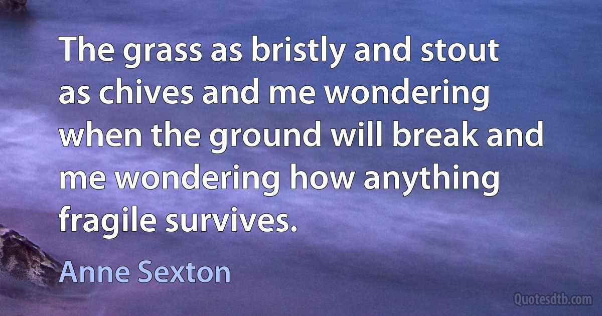 The grass as bristly and stout as chives and me wondering when the ground will break and me wondering how anything fragile survives. (Anne Sexton)