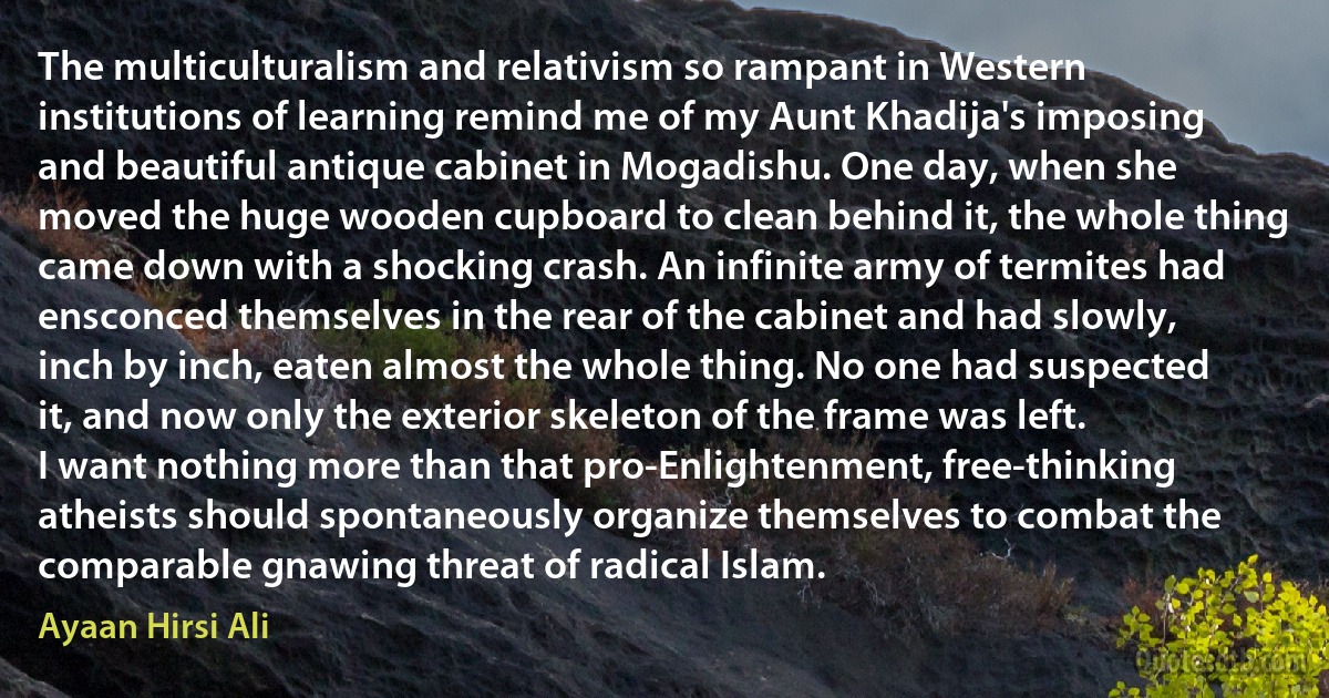 The multiculturalism and relativism so rampant in Western institutions of learning remind me of my Aunt Khadija's imposing and beautiful antique cabinet in Mogadishu. One day, when she moved the huge wooden cupboard to clean behind it, the whole thing came down with a shocking crash. An infinite army of termites had ensconced themselves in the rear of the cabinet and had slowly, inch by inch, eaten almost the whole thing. No one had suspected it, and now only the exterior skeleton of the frame was left.
I want nothing more than that pro-Enlightenment, free-thinking atheists should spontaneously organize themselves to combat the comparable gnawing threat of radical Islam. (Ayaan Hirsi Ali)