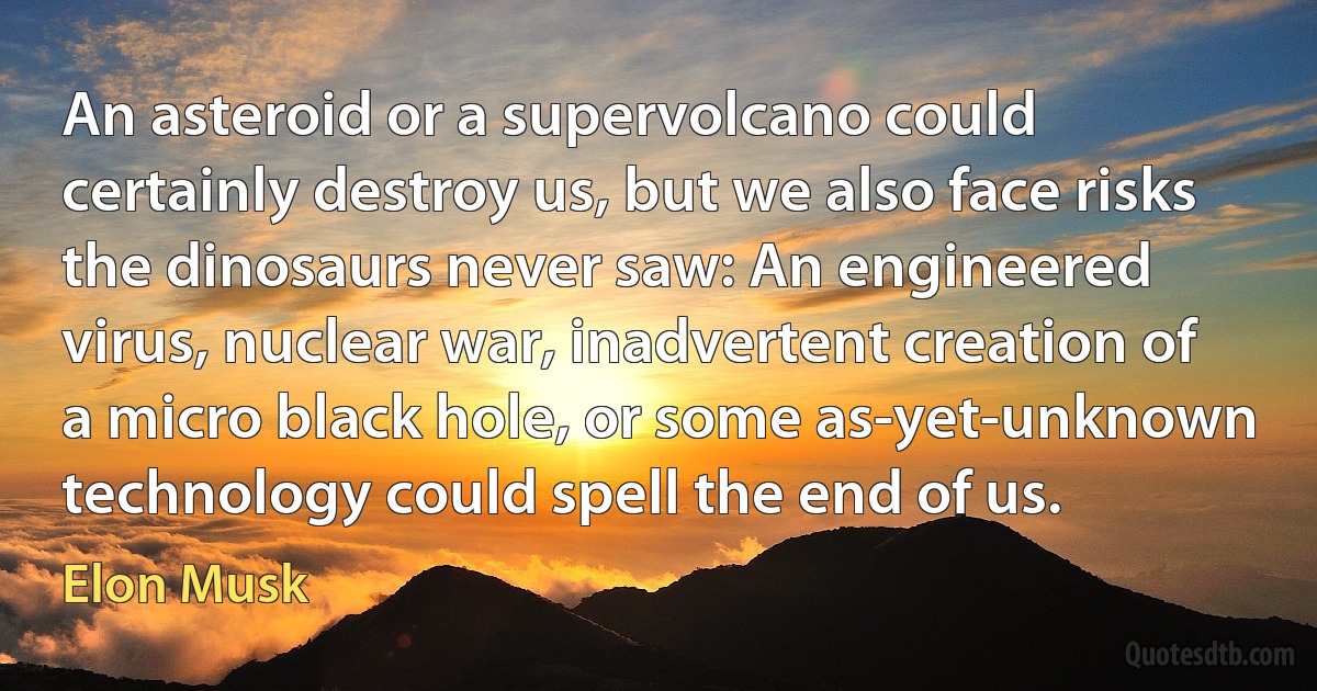 An asteroid or a supervolcano could certainly destroy us, but we also face risks the dinosaurs never saw: An engineered virus, nuclear war, inadvertent creation of a micro black hole, or some as-yet-unknown technology could spell the end of us. (Elon Musk)