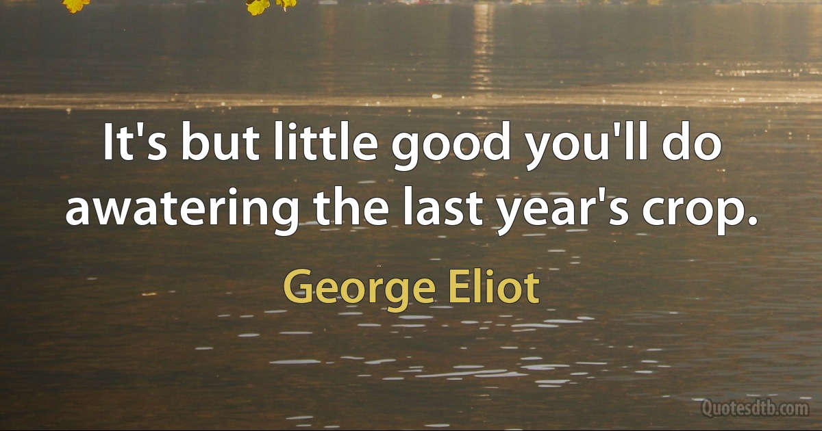 It's but little good you'll do awatering the last year's crop. (George Eliot)