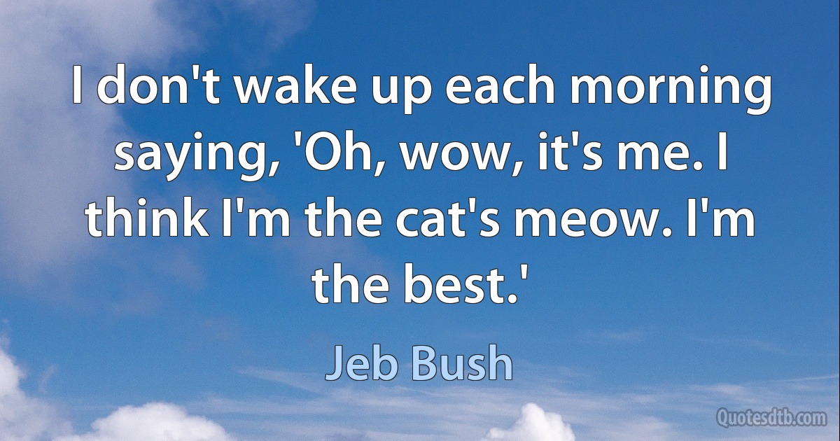 I don't wake up each morning saying, 'Oh, wow, it's me. I think I'm the cat's meow. I'm the best.' (Jeb Bush)