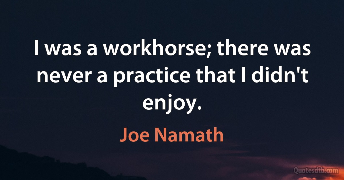 I was a workhorse; there was never a practice that I didn't enjoy. (Joe Namath)