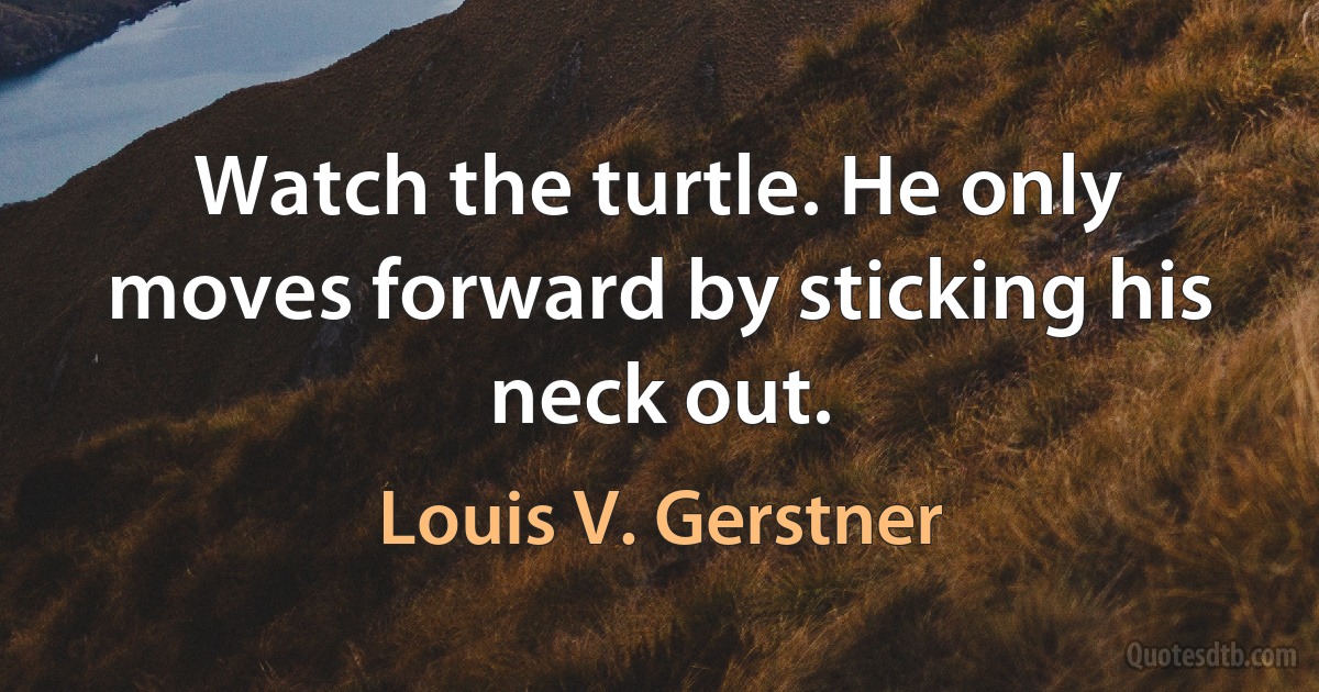 Watch the turtle. He only moves forward by sticking his neck out. (Louis V. Gerstner)