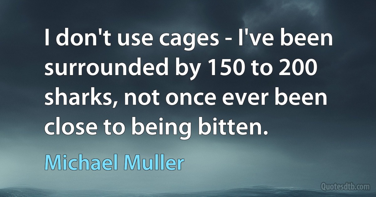 I don't use cages - I've been surrounded by 150 to 200 sharks, not once ever been close to being bitten. (Michael Muller)