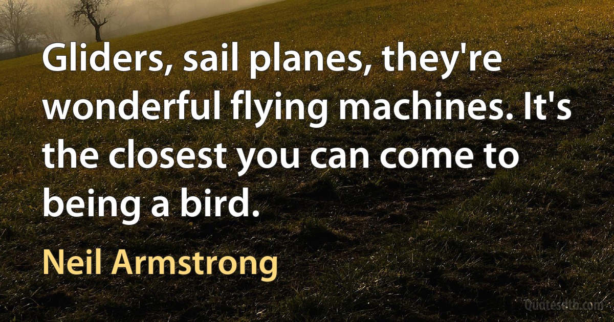 Gliders, sail planes, they're wonderful flying machines. It's the closest you can come to being a bird. (Neil Armstrong)