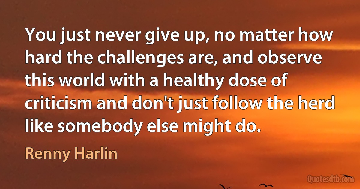 You just never give up, no matter how hard the challenges are, and observe this world with a healthy dose of criticism and don't just follow the herd like somebody else might do. (Renny Harlin)