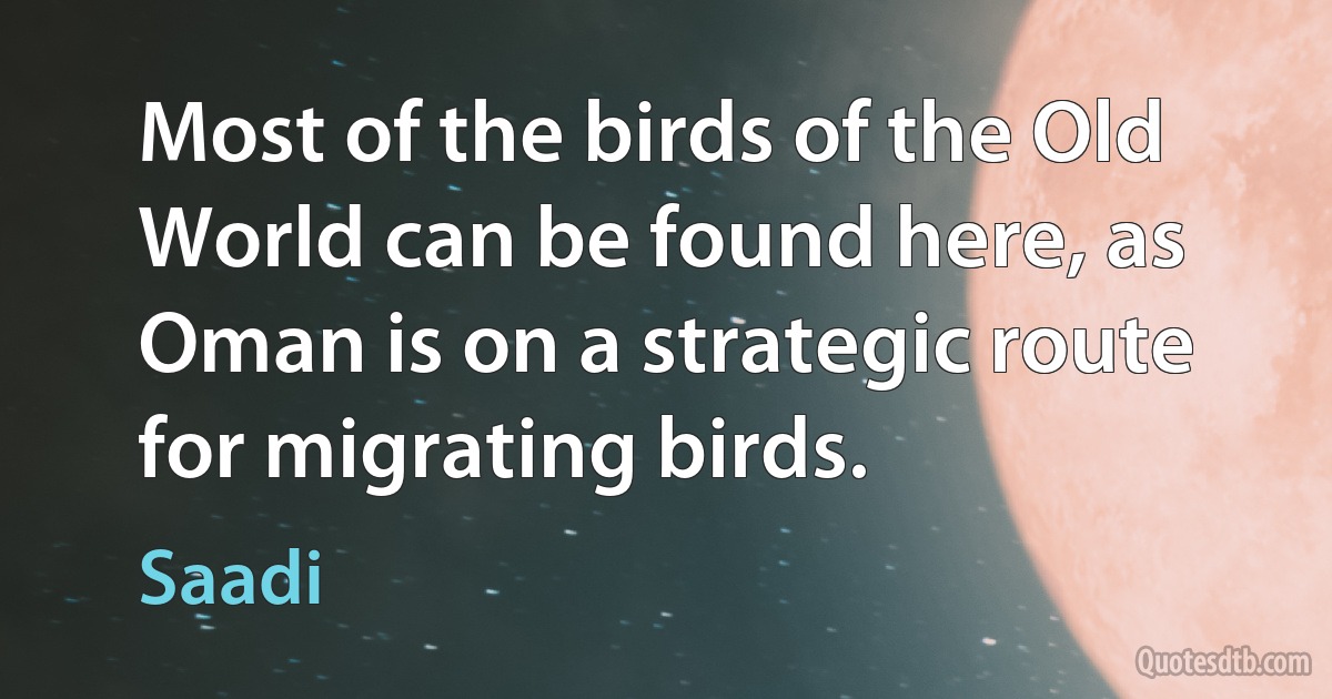 Most of the birds of the Old World can be found here, as Oman is on a strategic route for migrating birds. (Saadi)