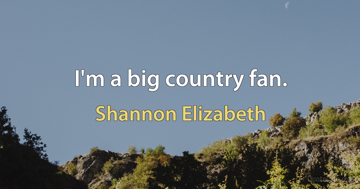 I'm a big country fan. (Shannon Elizabeth)