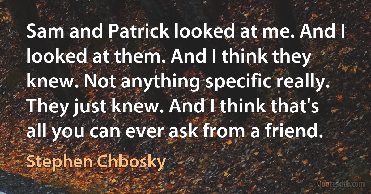 Sam and Patrick looked at me. And I looked at them. And I think they knew. Not anything specific really. They just knew. And I think that's all you can ever ask from a friend. (Stephen Chbosky)