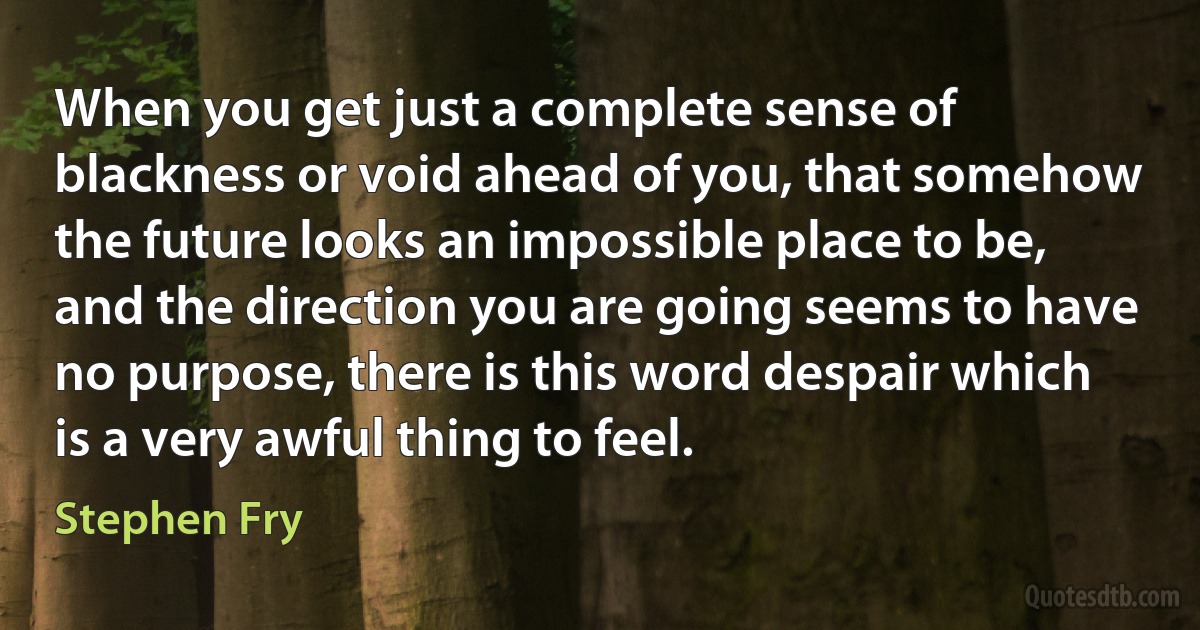 When you get just a complete sense of blackness or void ahead of you, that somehow the future looks an impossible place to be, and the direction you are going seems to have no purpose, there is this word despair which is a very awful thing to feel. (Stephen Fry)