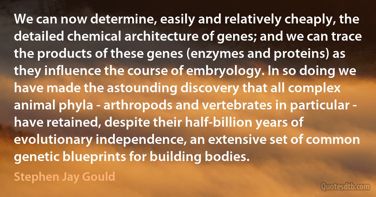 We can now determine, easily and relatively cheaply, the detailed chemical architecture of genes; and we can trace the products of these genes (enzymes and proteins) as they influence the course of embryology. In so doing we have made the astounding discovery that all complex animal phyla - arthropods and vertebrates in particular - have retained, despite their half-billion years of evolutionary independence, an extensive set of common genetic blueprints for building bodies. (Stephen Jay Gould)