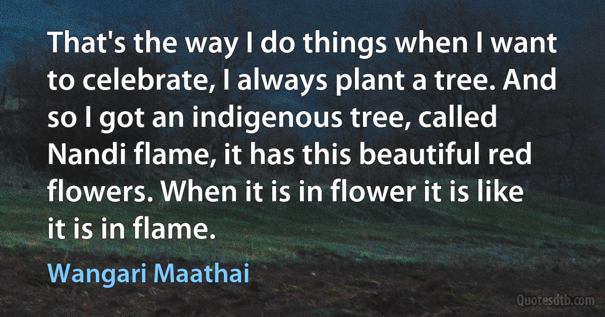 That's the way I do things when I want to celebrate, I always plant a tree. And so I got an indigenous tree, called Nandi flame, it has this beautiful red flowers. When it is in flower it is like it is in flame. (Wangari Maathai)