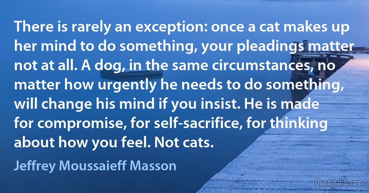 There is rarely an exception: once a cat makes up her mind to do something, your pleadings matter not at all. A dog, in the same circumstances, no matter how urgently he needs to do something, will change his mind if you insist. He is made for compromise, for self-sacrifice, for thinking about how you feel. Not cats. (Jeffrey Moussaieff Masson)