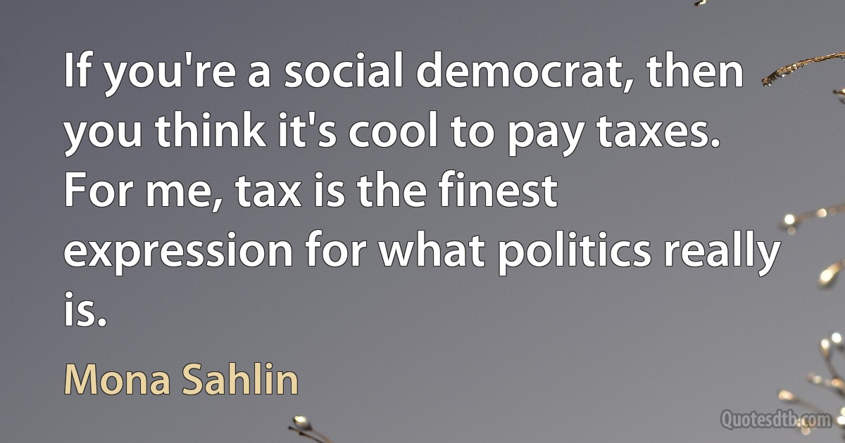 If you're a social democrat, then you think it's cool to pay taxes. For me, tax is the finest expression for what politics really is. (Mona Sahlin)