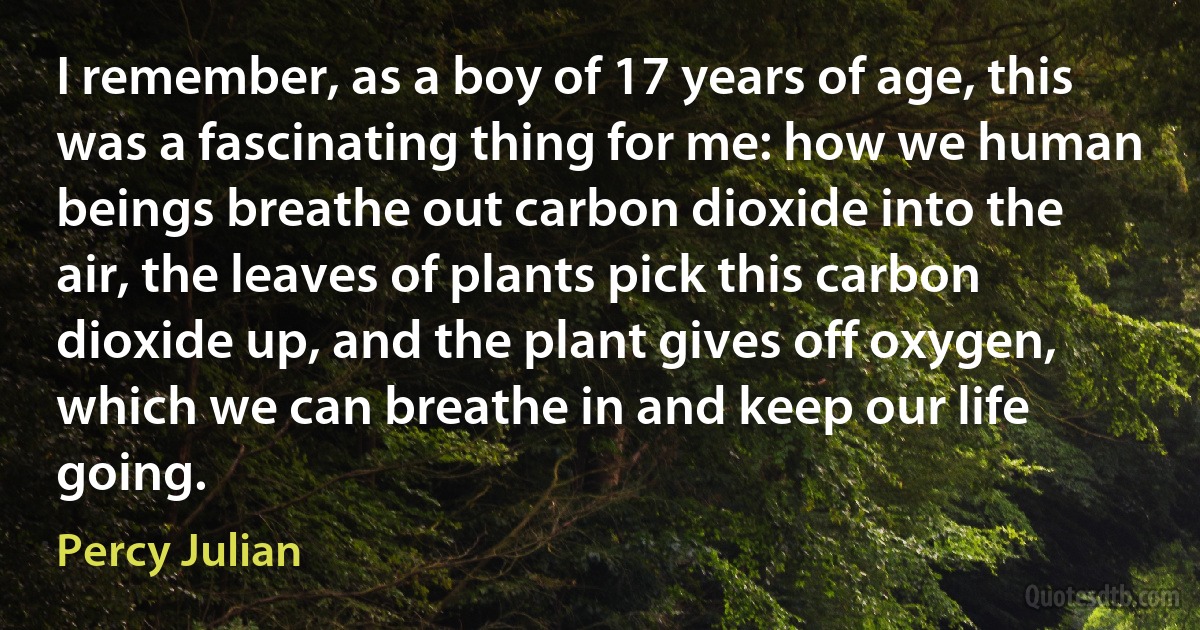 I remember, as a boy of 17 years of age, this was a fascinating thing for me: how we human beings breathe out carbon dioxide into the air, the leaves of plants pick this carbon dioxide up, and the plant gives off oxygen, which we can breathe in and keep our life going. (Percy Julian)