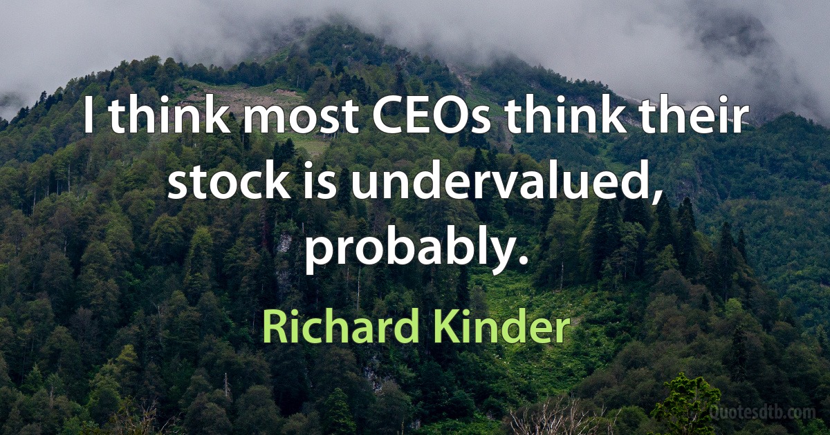 I think most CEOs think their stock is undervalued, probably. (Richard Kinder)