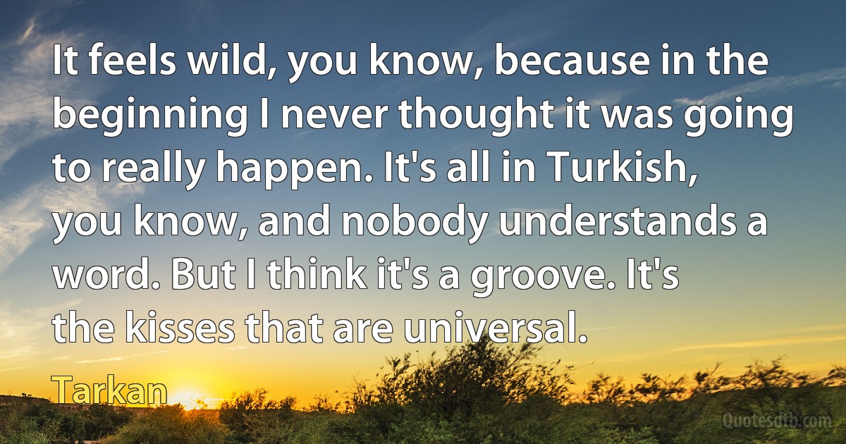 It feels wild, you know, because in the beginning I never thought it was going to really happen. It's all in Turkish, you know, and nobody understands a word. But I think it's a groove. It's the kisses that are universal. (Tarkan)