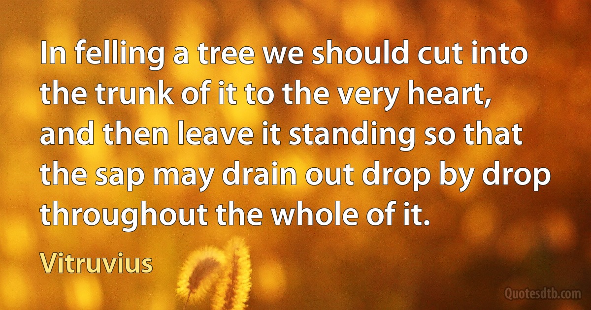 In felling a tree we should cut into the trunk of it to the very heart, and then leave it standing so that the sap may drain out drop by drop throughout the whole of it. (Vitruvius)