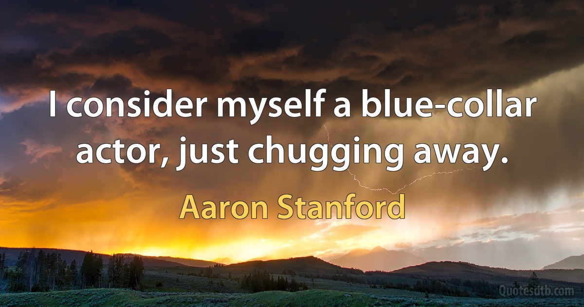 I consider myself a blue-collar actor, just chugging away. (Aaron Stanford)