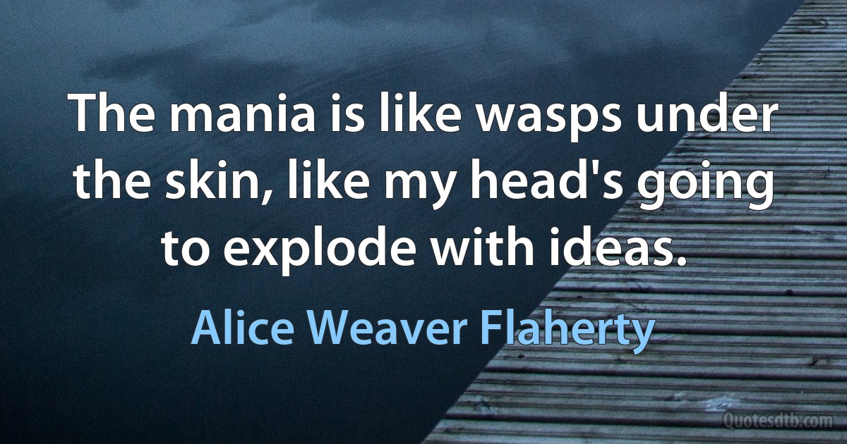 The mania is like wasps under the skin, like my head's going to explode with ideas. (Alice Weaver Flaherty)