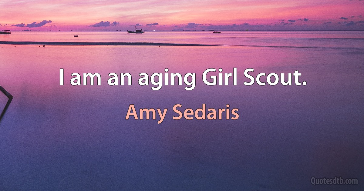 I am an aging Girl Scout. (Amy Sedaris)