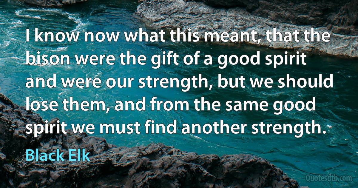 I know now what this meant, that the bison were the gift of a good spirit and were our strength, but we should lose them, and from the same good spirit we must find another strength. (Black Elk)