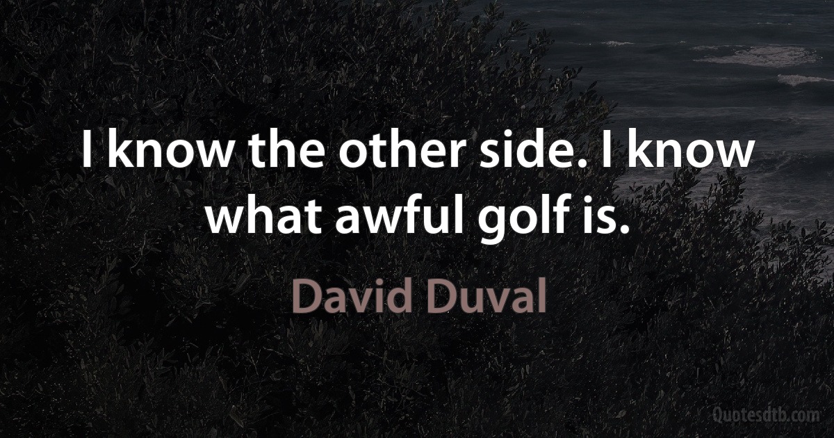 I know the other side. I know what awful golf is. (David Duval)