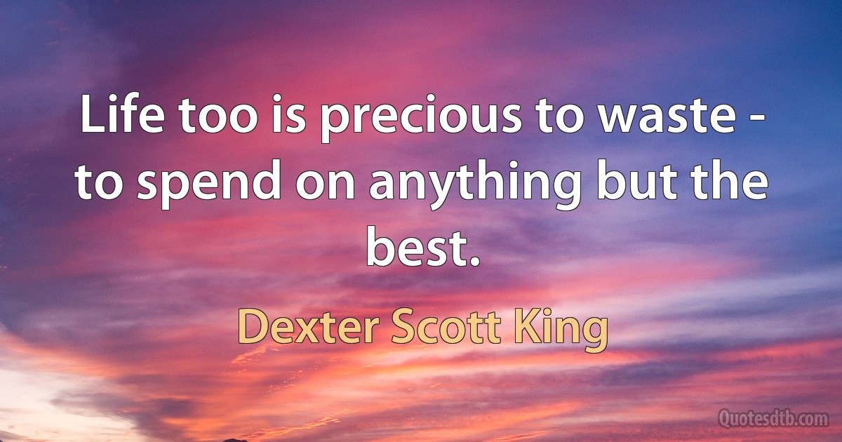 Life too is precious to waste - to spend on anything but the best. (Dexter Scott King)