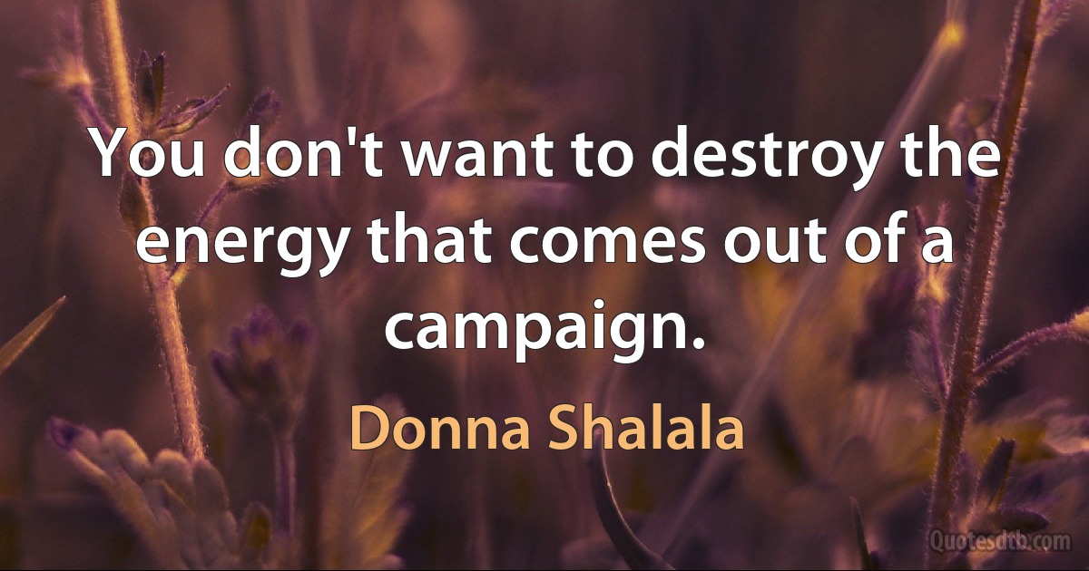 You don't want to destroy the energy that comes out of a campaign. (Donna Shalala)