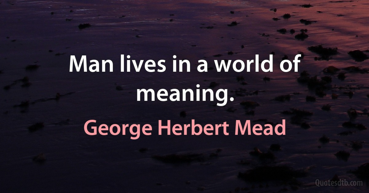 Man lives in a world of meaning. (George Herbert Mead)