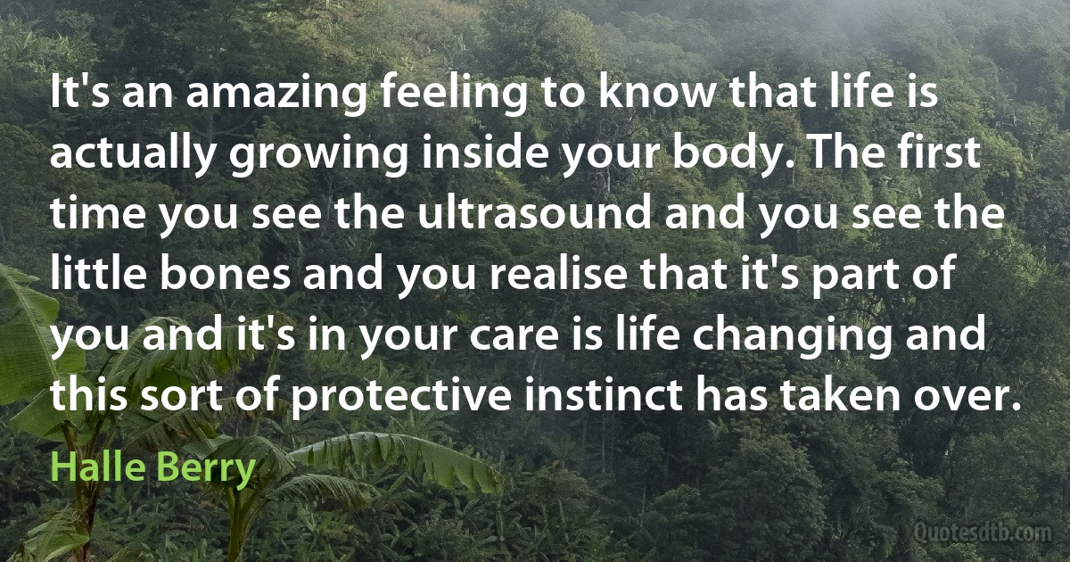 It's an amazing feeling to know that life is actually growing inside your body. The first time you see the ultrasound and you see the little bones and you realise that it's part of you and it's in your care is life changing and this sort of protective instinct has taken over. (Halle Berry)