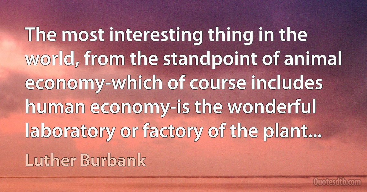 The most interesting thing in the world, from the standpoint of animal economy-which of course includes human economy-is the wonderful laboratory or factory of the plant... (Luther Burbank)