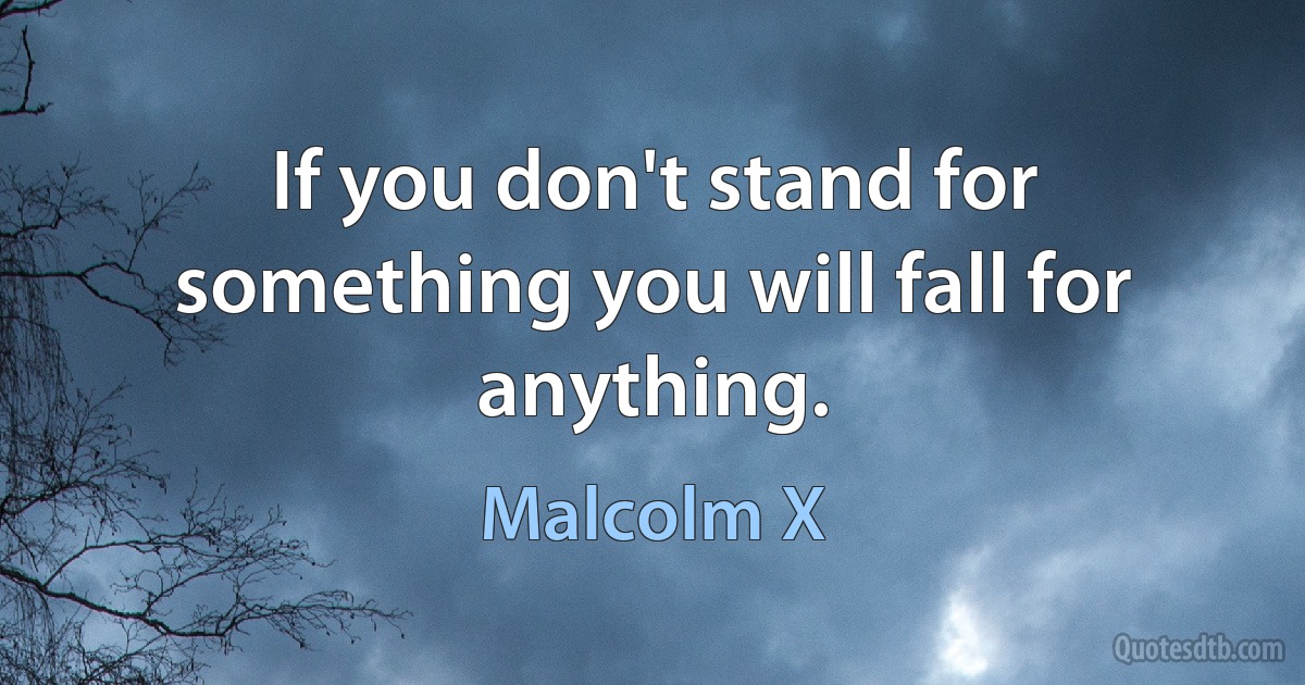 If you don't stand for something you will fall for anything. (Malcolm X)