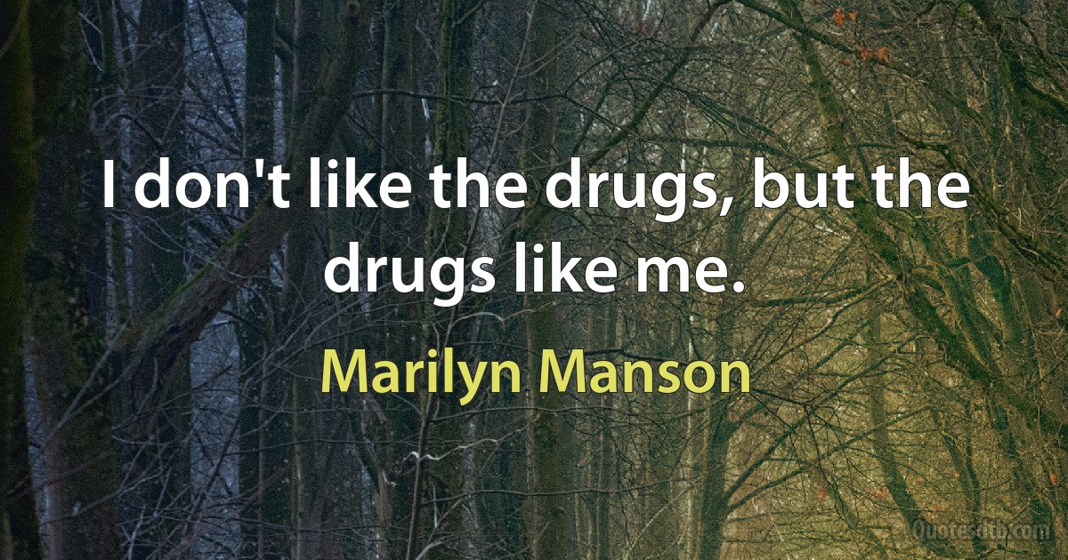 I don't like the drugs, but the drugs like me. (Marilyn Manson)