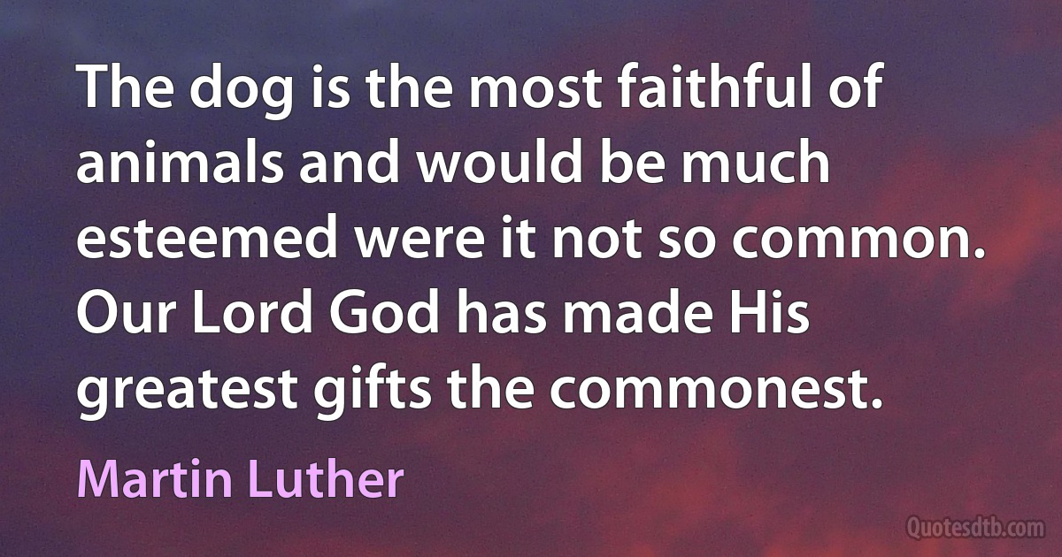 The dog is the most faithful of animals and would be much esteemed were it not so common. Our Lord God has made His greatest gifts the commonest. (Martin Luther)